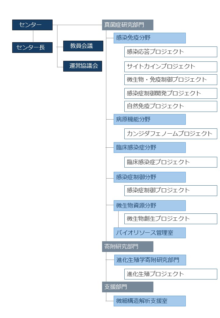 組織図
